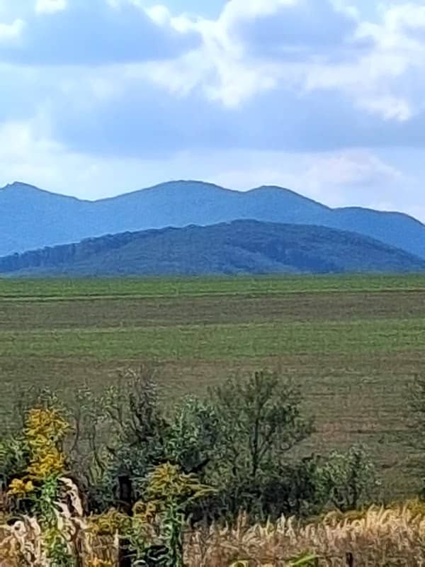 Lipovec - Image 1