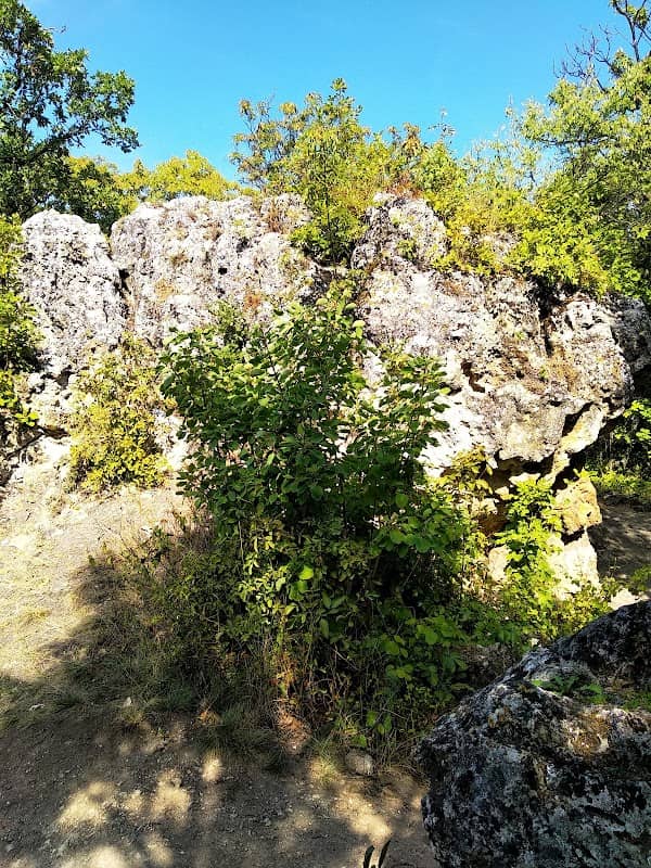 Borsóköves-kúp - Image 1