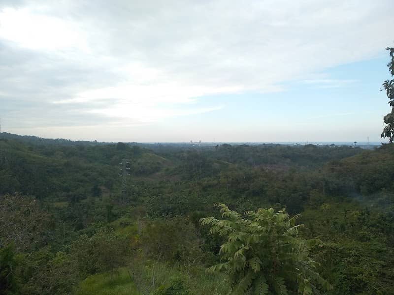 Bukit Umar - Image 1