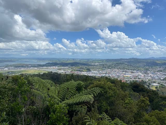 Mount Parihaka Lookout and Memorial - Image 1