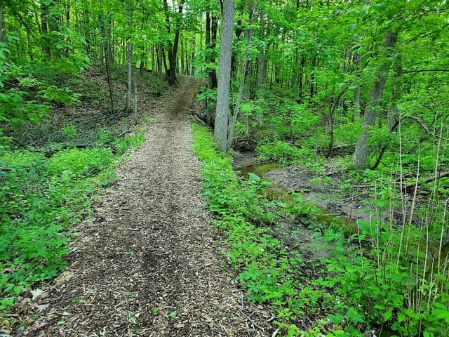 UWGB Arboretum Trail - Image 2