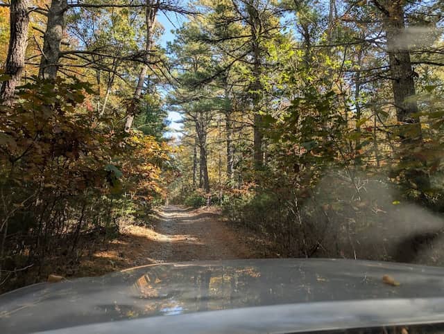 SE Mass Bioreserve - Image 1