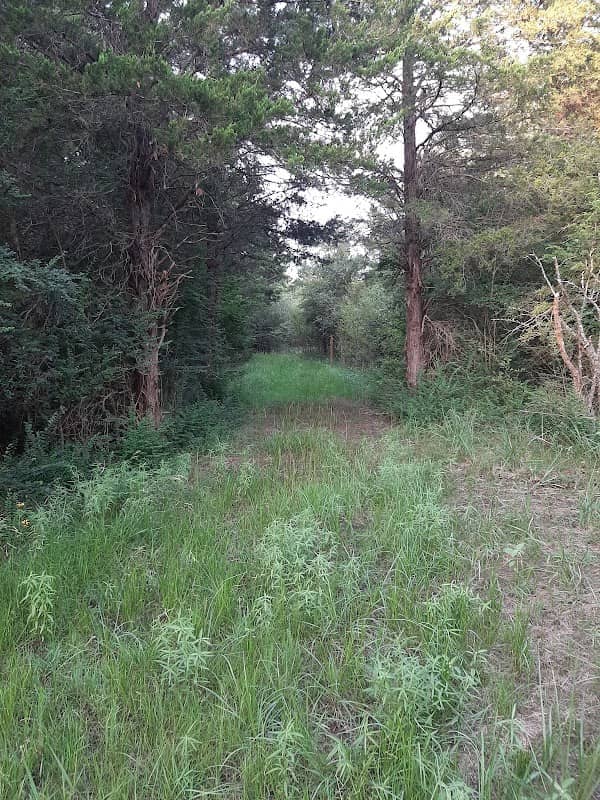 Dupree Park & Nature Preserve - Image 1