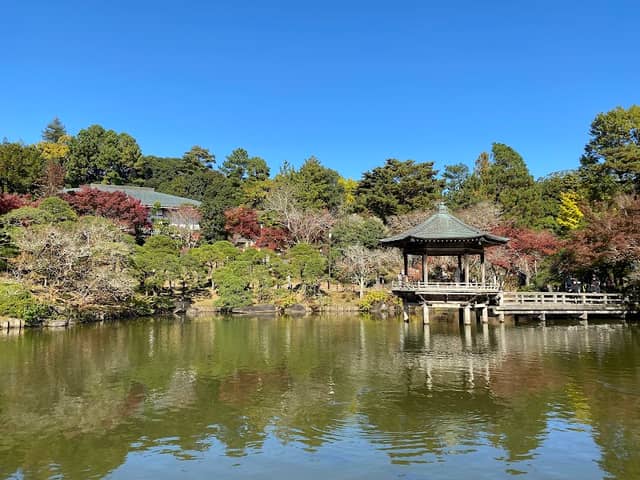 Ryuchi Pond - Image 1