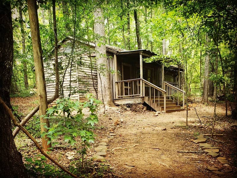 Escape Woods - Image 1
