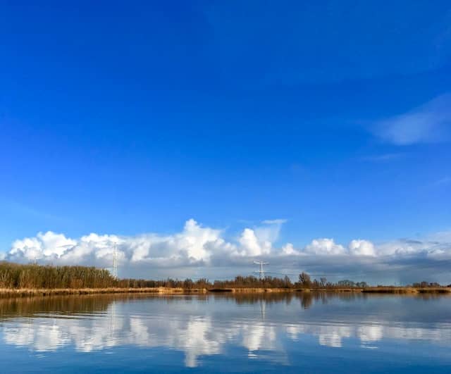 Sliedrechtse Biesbosch - Image 2