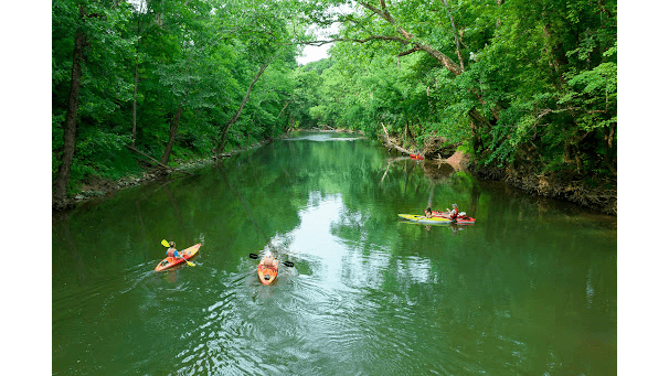 Cave Country Canoes - Image 2