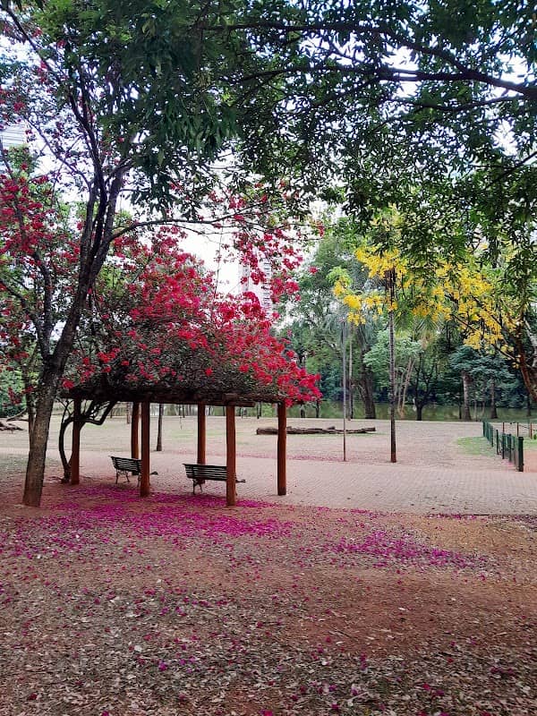 Macambira Anicuns park - Image 1
