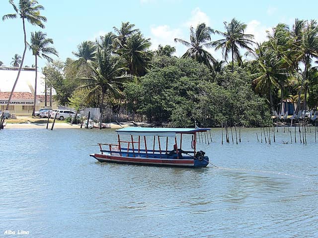 Ilha de Santa Rita - Image 1