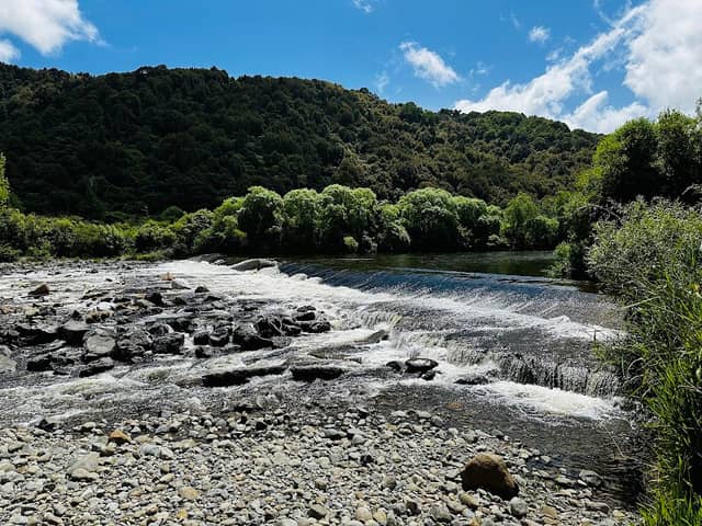 Silverstream Weir - Image 1