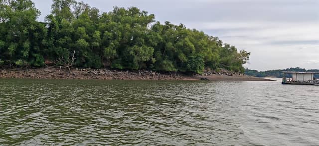 Pineapple Island - Image 1