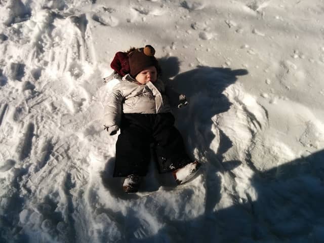Jack Pines Park - Image 1