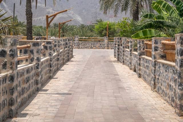 AMONG QIDFA PALMS - Image 1