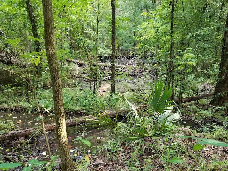 Angus Gholson Nature Park - Image 1