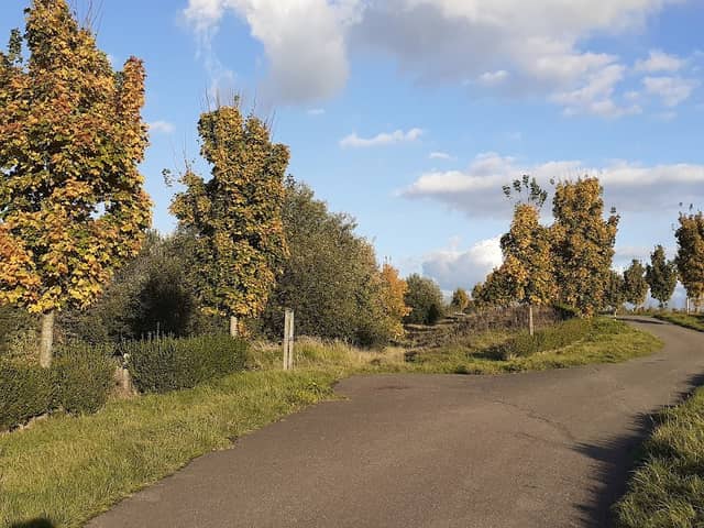 Ingang Heidekamppark - Image 1