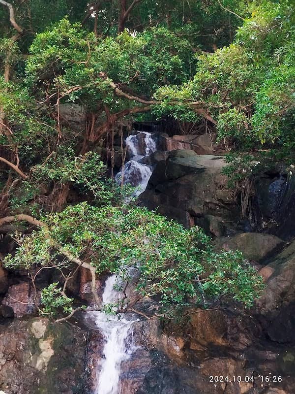 Lei On Court Waterfall - Image 3