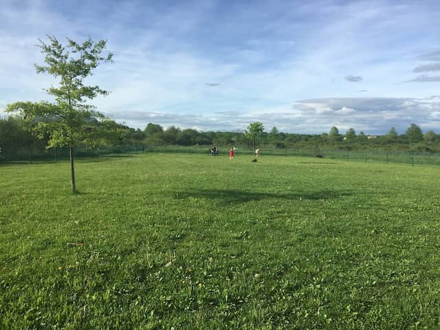Athens Bunker Hill Dog Park - Image 1