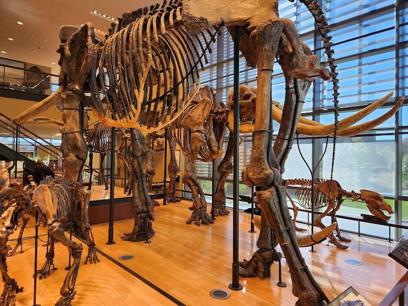 Beneski Museum of Natural History - Image 2