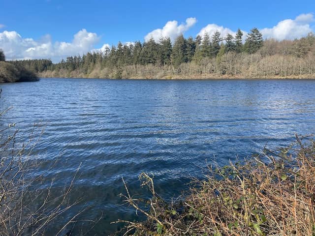 Tottiford reservoir - Image 1