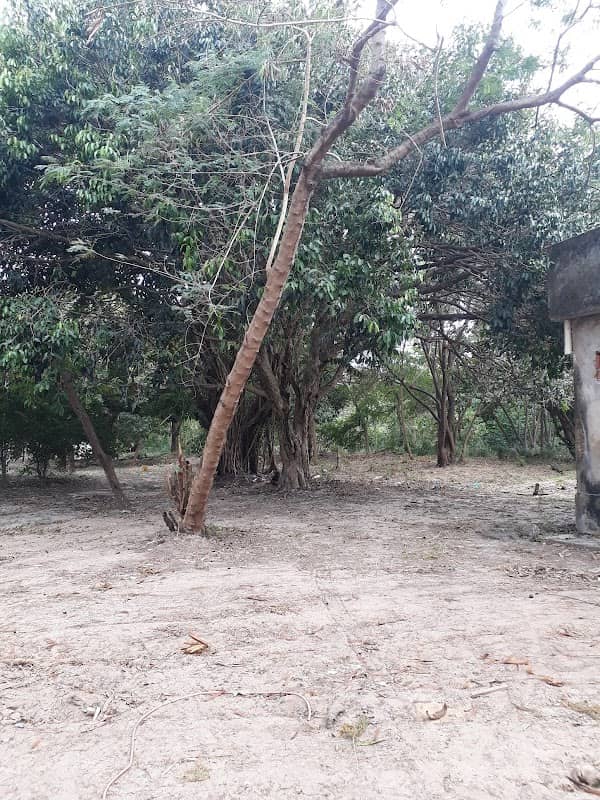 Parque da Amizade - Image 2