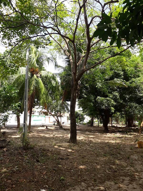 Parque da Amizade - Image 1