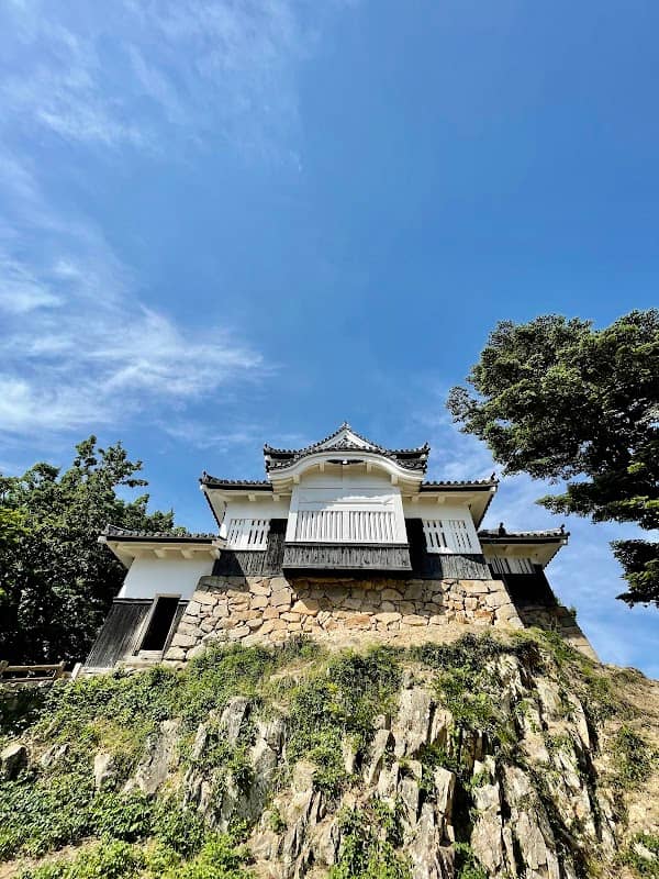 Bicchu Matsuyama Castle - Image 1