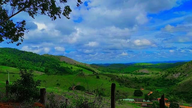 Fazenda Pena de Ouro - Image 1