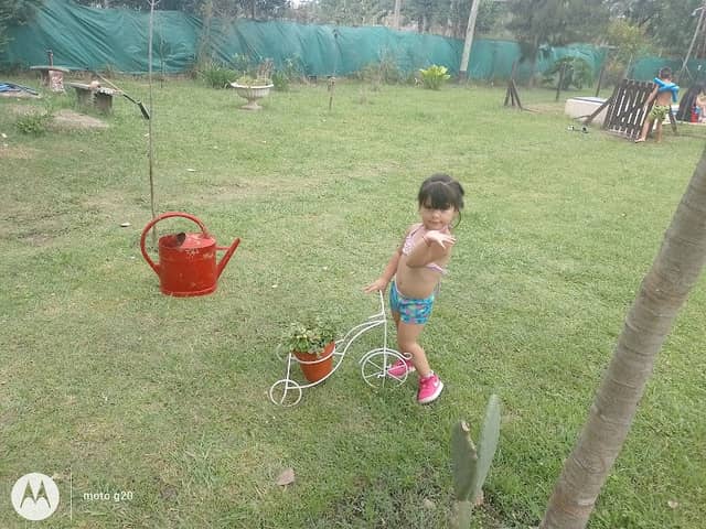 Las Lechuzas - Image 1