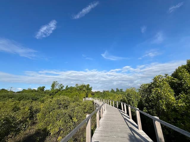 Bakawan Eco-park Beach - Image 1