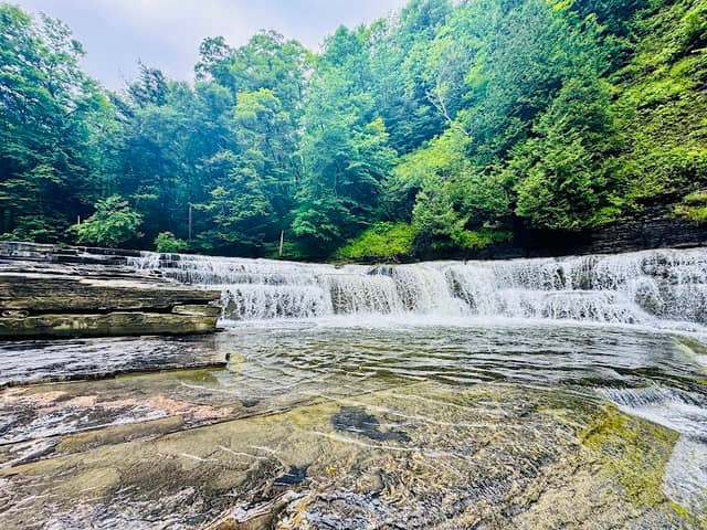 Wintergreen Park - Image 2