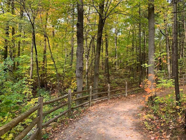 Jefferson Forest - Image 2