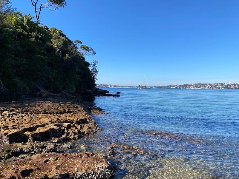 Bradleys Head to Chowder Bay walk - Image 3