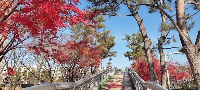 매화공원 - Image 1