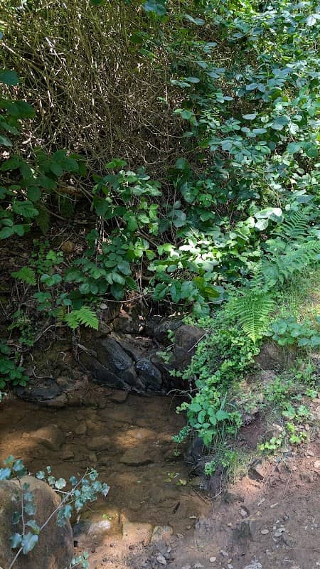 Shady Trail, Portola Valley, CA - Image 2