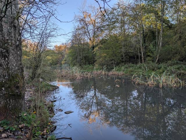 Linear Park - Image 1