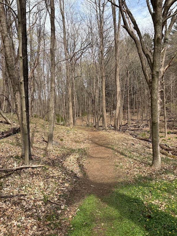 Harry Day Preserve - Image 1