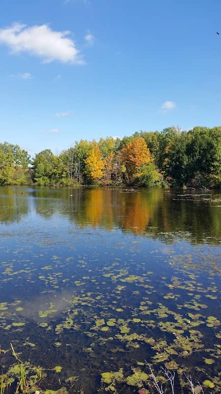 Sterns Park - Image 1
