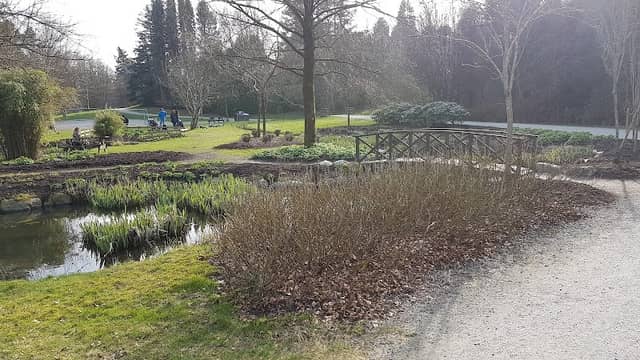 Renseparken - Image 1