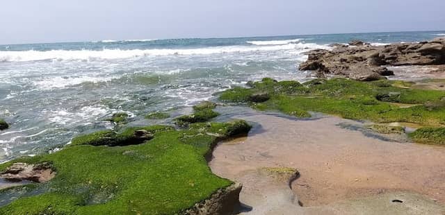 Praia das Hortas - Image 2
