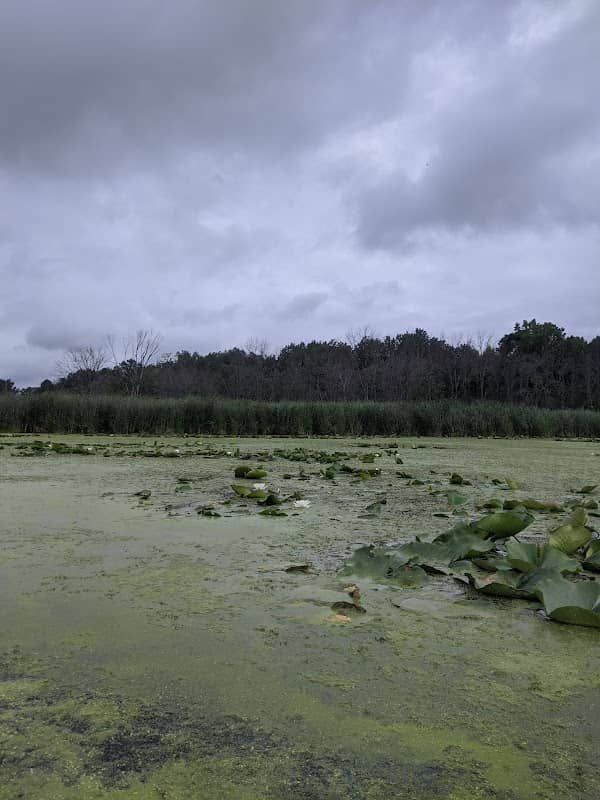 Kreuger Brook - Image 1