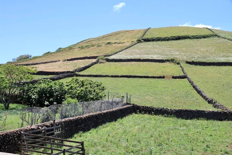 Pico Capitão, Terceira - Image 1