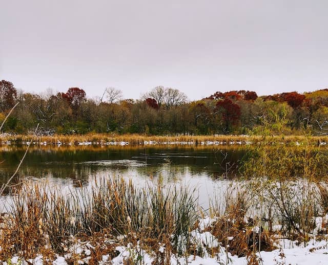 Dodge Nature Center – Lilly Property - Image 3