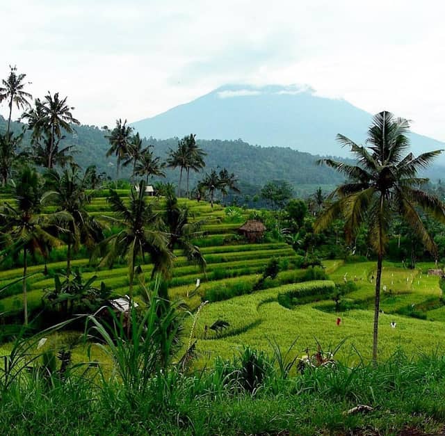 Bali Countryside Sidemen - Image 1