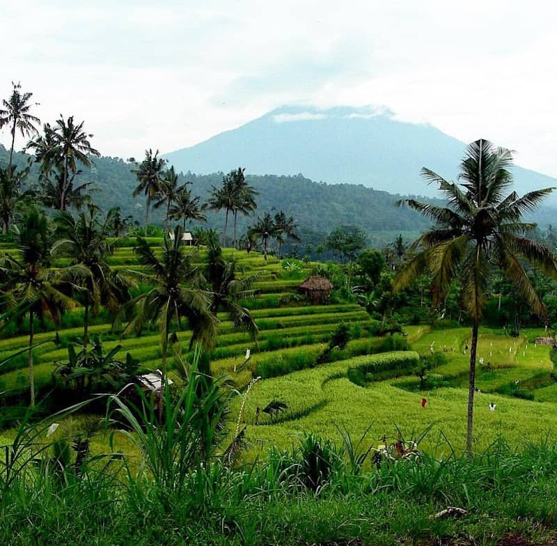 Bali Countryside Sidemen - Image 1