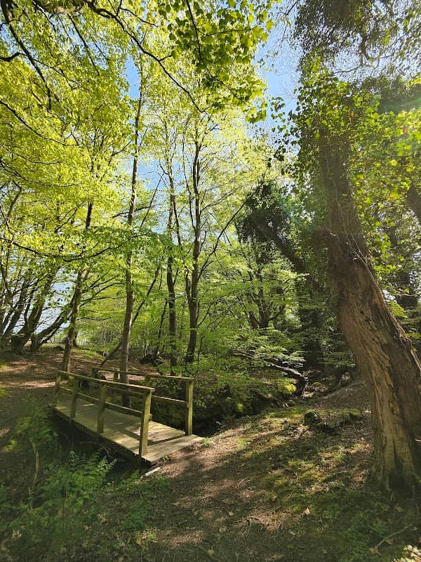 Ravenswood - Image 1