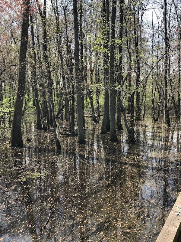 Big Creek Greenway - Image 2