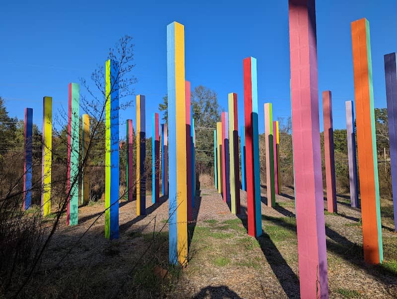 “Rainbow Forest” - Image 2