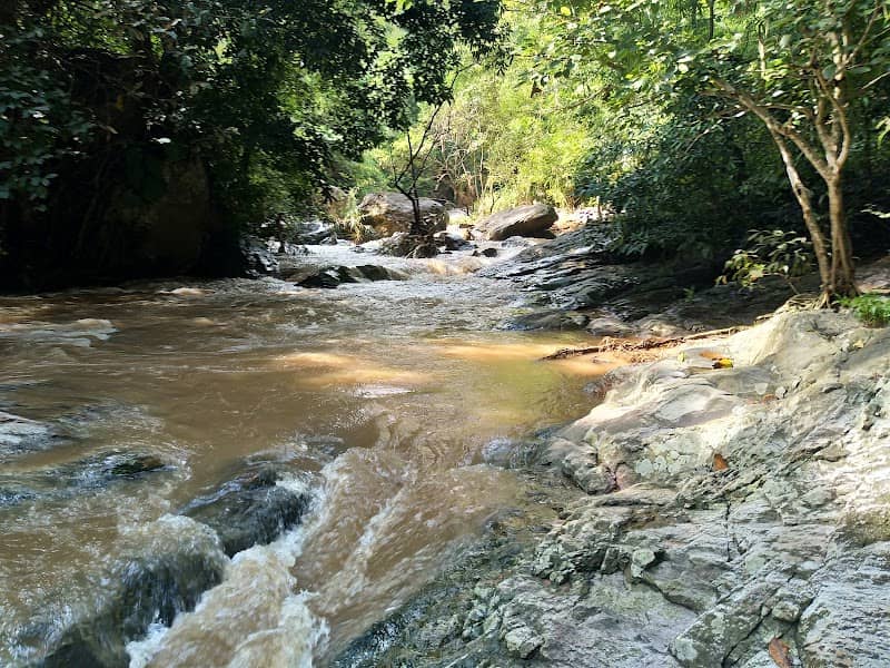Doi Suthep-Pui National Park - Image 1