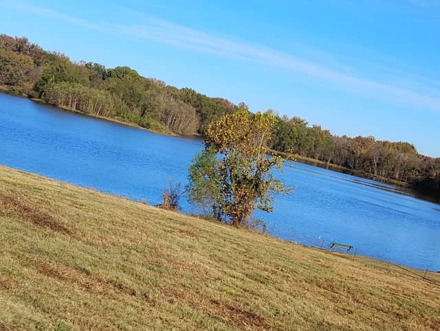 City Park - Image 2