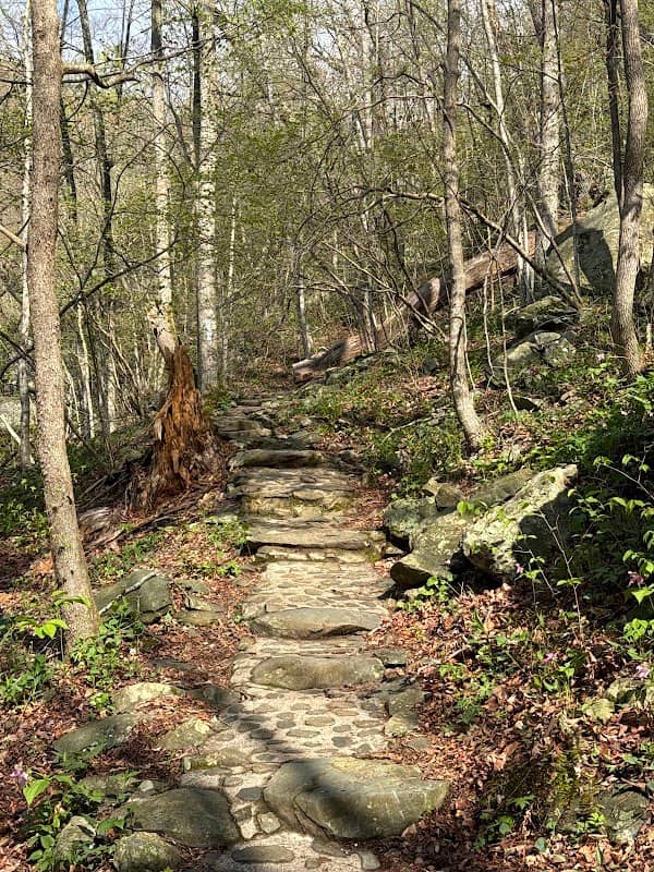 Cedar Run Trail Trailhead - Image 2